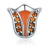 Petite Charm Locket Secrets