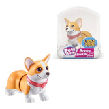Pets Alive