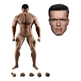 Phicen Body 1 6 Corpo M35 Terminator Arnold Schwarzenegger