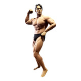 Phicen Body 1 6