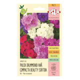 Phlox Anã Compacta Beauty Drummondi