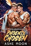 Phoenix Chosen The Phoenix Guardians