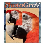 Photograv 3 0 3   Foto Laser Gravar Imagens E Fotografia