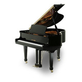 Piano 1 4 De Cauda Fritz Dobbert Modelo Cs150 Novo