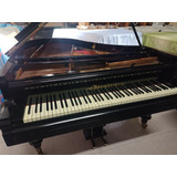Piano Cauda Bosendorfer 1 60