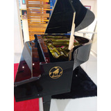 Piano Cenográfico Caziuk 1 30 De Cauda P pianos Digitais