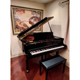 Piano De Cauda Acustico