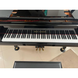 Piano De Cauda C 160 Fritz