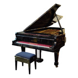 Piano Essenfelder Preto Dois Pedais Com Banqueta