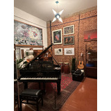 Piano Steinway Sons 1 2 Cauda