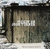 Pickin On Josh Turner The Bluegrass Tribute