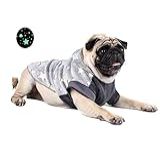 Pickorruchos Roupa Felpuda Puppy Magic Brilha No Escuro P-cães- Grafite- 02