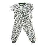 Pijama Infantil Menino Moletinho Estampado Flanelado Por Dentro 0 A 4 Anos 4 