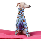 Pijama Para Cachorro Galgo Whippet Koda Pet Jr Em Poliéster
