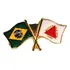 Pim Bótom Broche Bandeira Do Estado De Minas Gerais Folheado
