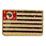 Pim Botom Broche Bandeira