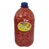 Pimenta Biquinho Galão Com 5 Kg Envio Imediato Não Arde