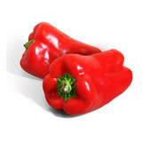 Plantio