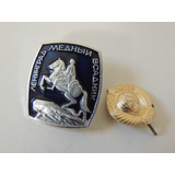 Pin Boton