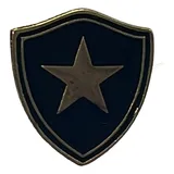 Pin Botafogo Escudo Em