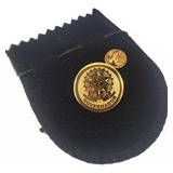 Pin Botton Broche Brasão Governador Aço Folheado Safbo11