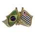 Pin Da Bandeira Do Brasil X Estado De São Paulo
