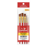 Pincéis Práticos Artísticos Variados Kit Com 5 Condor 5503 Cor Das Cerdas Marrom