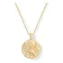 Pingente De Moeda Oval Martelado Gravado A Ouro 14k Pavoi...
