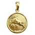 Pingente De Ouro Signo Redondo Banhado ( Escolha O Seu ) 