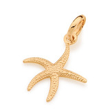 Pingente Estrela Do Mar
