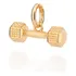 Pingente Halter Academia Folheado A Ouro - Rommanel 542772