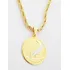 Pingente Jornalismo + Corrente Folheado Ouro 18k. C7p121