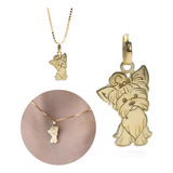 Feminino