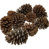 Pinha 100 Natural P