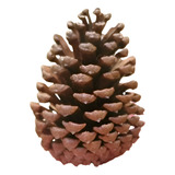 Pinha Enfeites E Decoracao