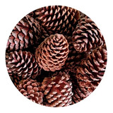Artesanato