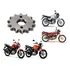 Pinhão 13 Dentes Xtz 125 / Ybr 125 Até 2016 P428 - Coser