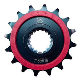 Pinhao 16 Ognibene Ktm