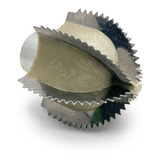 Pinhão Navalha Castanha Raspador Coco Manual Reposição And