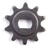 Pinhao Relacao Mini Buggy