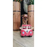 Pinscher Miniatura Com Pedigree