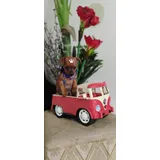 Pinscher Zero Com Pedigree