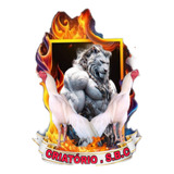 Combatentes