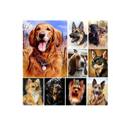 Pintura Diamante 5d Pet Dog Mosaico