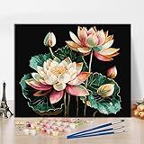Pintura Por Número Simplicidade Flor De Lótus Colorida Adultos Pintura Por Número Kit De Pintura Acrílica Com Pincéis E Tinta De Pigmento Acrílico Por Números Kit Para Adultos Fundo Preto 40 6 X 50 8