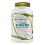 Pinus Pinaster Vitamina E