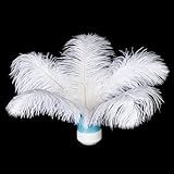 Piokio 20 Plumas De Penas De Avestruz Naturais Brancas Naturais 20 A 25 Cm Para Decorações De Natal Faça Você Mesmo Peças Centrais De Festa De Casamento Decorações Gatsby