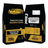 Piolho De Galinha Pecnew