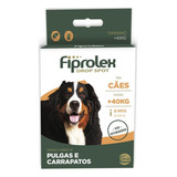 Cão