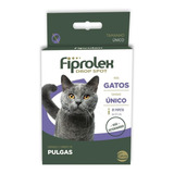 Gato